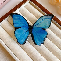 Barrette cheveux élégante posée dans une boîte luxe ouverte