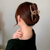 Pince cheveux – accessoire élégant pour femme moderne