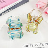 Pince cheveux – duo d’accessoires élégants posés sur fond blanc