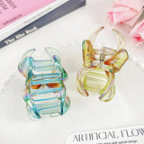 Pince cheveux – duo d’accessoires élégants posés sur fond blanc