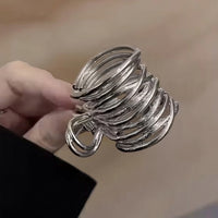 Pince cheveux MetalTwist argent clair finition métallique présentée en gros plan.